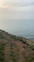 北海，涠洲岛，幕崖