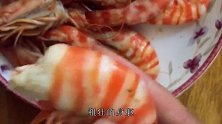 斑节虾，肉质细嫩Q弹，鲜、甜、嫩，全满足你的口欲，太鲜了