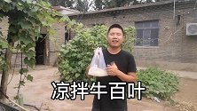 牛百叶别再只会烫火锅了，小侯教你一招，简单三步牛百叶脆嫩Q弹