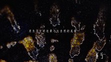 南宋吉州窑玳瑁斑茶盏 | 焕发着悦目光彩，令人心往神驰