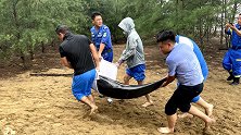 海南：事发凌晨，又有一只海豚搁浅了