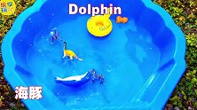 乐享动物乐园带你认识卷曲的海马和聪明海豚
