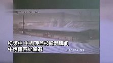 狂风突袭承德掀翻牛棚，牛群深夜遭“拆家”惊慌躲避