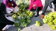 肉夹馍加油！重庆大叔老家购60吨鲜菜支援西安