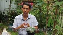 夏季养多肉除了防烂根化水之外，“它”也是“至关重要”！
