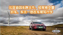 比亚迪因车牌太牛，经常被交警拦车，车主一怒在车尾写行字