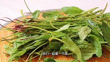 农村不起眼的车前草，晒一晒，煮一煮，一杯美味凉茶就做好了