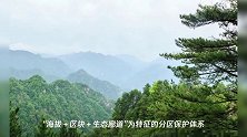 《陕西省秦岭生态环境保护条例》明起实施 生态环境损害终身追责