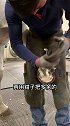 尼寇又买新鞋了宠物成精啦 热门