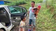 二哥买回来一只大公鸡，蹲在旁边看半天没见动静，这次想发财难了