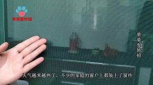 窗纱脏了不用拆、不用洗，1个简单小方法，污渍立马轻松全部去除