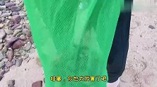 深圳周边野沙滩赶海，海胆抓到手软，好过瘾#旅行大玩家
