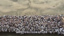 海边漂来一根烂木头，上面长满奇异生物，老渔民却直呼发财了！