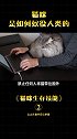 猫咪这么柔弱，在野外是如何生存下去的？萌宠出道计划