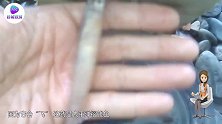 鱿鱼也会飞，你让飞鱼怎么想？网友：铁板已备好！