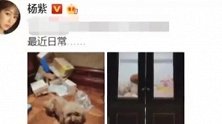 为武汉加油！杨紫晒宅家日常，垃圾成堆就不出去：不添麻烦