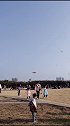 过年 西安 14日，西安雁南公园内，很多家长带着孩子来放风筝。五彩斑斓的风筝把初春的天空装点得分外美丽。