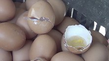 江苏扬州：超市出现“空心鸡蛋” 罪魁祸首竟是它！