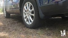 二哈非要钻车底“修车”，主人怎么叫都不出来