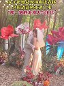 重庆：女子把婚礼现场搬进森林，夕阳透过树木洒下来浪漫无与伦比