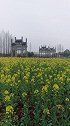满园春色关不住——歙县欢迎你。