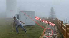 农村小伙风力发电上班，发现地上一滩白色的生物，吓得拔腿就跑