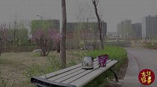 学霸教科书式学做美食，学渣自创美食宝典，到底哪个更厉害呢?