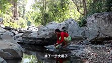 泰国村花挑战黑暗料理，福寿螺配上椰子水，鲜嫩酸爽，做法还简单