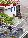 贵州遵义：鸟妈妈偷水果喂宝宝，还是夫妻秀恩爱？