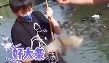 奥运冠军全红婵“摸鱼”也能破纪录