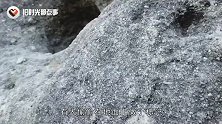 一块会跑的“怪石”，一到下雨天就会变大，切开后发现秘密