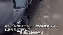 狗在家休息，奔驰车私自进院碾死，被索赔2千元直呼主人心太黑