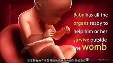 怀孕23周的胎儿，被胎盘包裹着不受侵害，感叹生命的奇妙