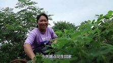 胖妹为了啥美食，被淋成“落汤鸡”？还做碗葱油拌面，吃的满嘴油