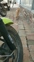 猫：我都盯着你好久了，一点也不自觉！