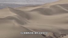 中国“击败”的一个沙漠，80%变绿洲，还整出160万亩农田