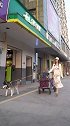 哈哥拉车，你值得信赖。哈哥猫妹
