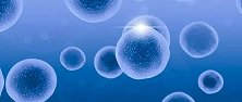 好消息！卵巢早衰居然可以通过干细胞来实现自然怀孕！