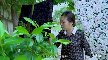 老太婆倚老卖老蛮不讲理，做事不顾及别人感受，终是害人又害己