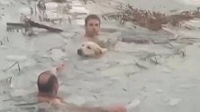 流浪狗落入冰湖性命垂危 西班牙警察跳湖救出