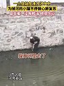 河南商丘：小伙冷水中救猫不停做心肺复苏 ，猫没救活非常伤心
