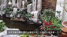 2万块，在自家院子里，打造假山鱼池，养锦鲤，园林化的设计，美