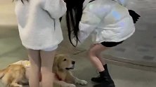 爆笑：只要妹子颜值够高，连狗狗都会忍不住上去撩