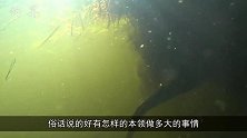 这么大的鱼钩，钓什么鱼用的？这钓到的鱼不简单！