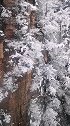 玉树银花，张家界雪景真好看！