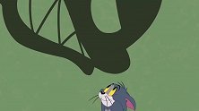 猫和老鼠：影子厌倦跟在汤姆的后面，从现在开始他引领汤姆