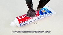 在马桶里挤满牙膏，按下冲水键那刻会怎样？结果让人意想不到！