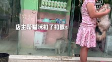 宠物店后续视频