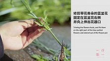 如果和不懂得欣赏清风徐来有多么美腻的人在同一空间里，我宁愿不去呼吸