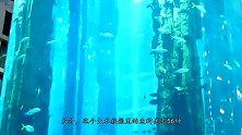 世界上最大的圆形水族箱？它被装在酒店里，总耗资高达9600万
